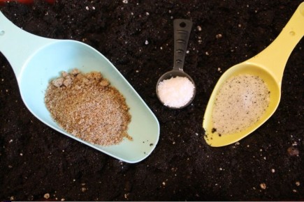 ��� ������� ��������� ����������������� �������� ������ ������: ������ � �������