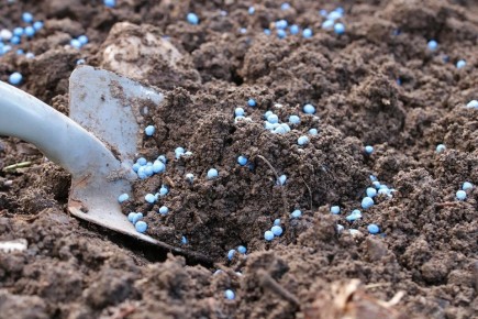 ��� ��������� �������� �����: ������� ��������� �������