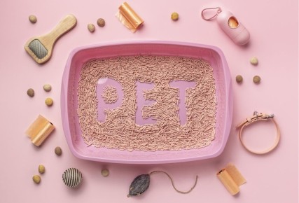 ������ �� ������ ��������� �����: ��� ������� ������� ������ � �������