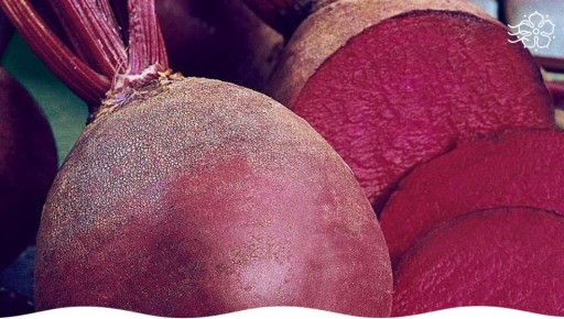 ��� ��������� ������ ������: ������� ����� ������� ���������