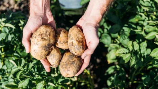 ��� ��������� ��������� � ������: ������� ������, ������� ����� ������ ��������