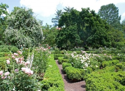 �������� �����: ����������� ������������ ��� ������ ����