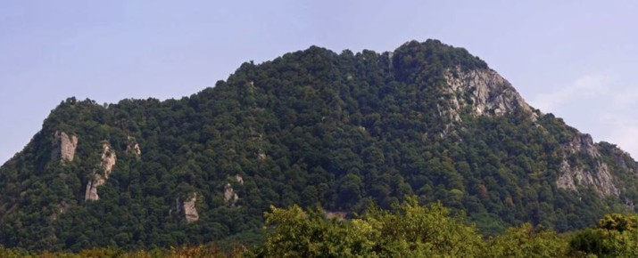 ����� ������ ��������: �������� ���������� ������ � ���������� �����