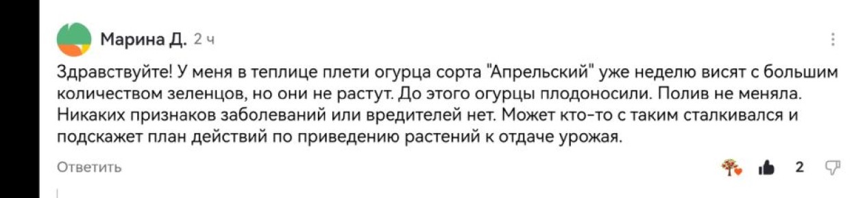 Почему огурцы не растут: главные причины и меры решения проблемы