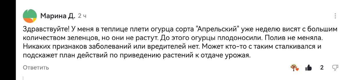 Почему огурцы не растут: главные причины и меры решения проблемы