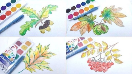 ����� ������� ���� ��� �������� ����������: ������ ������