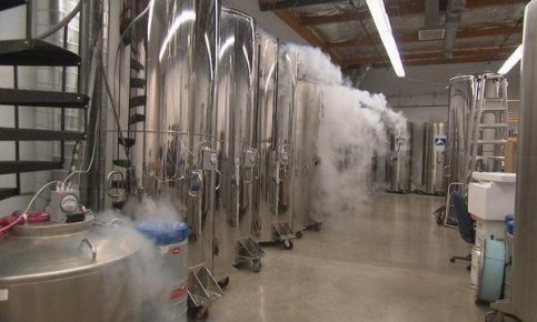 ��������: ������������ ����� � �������