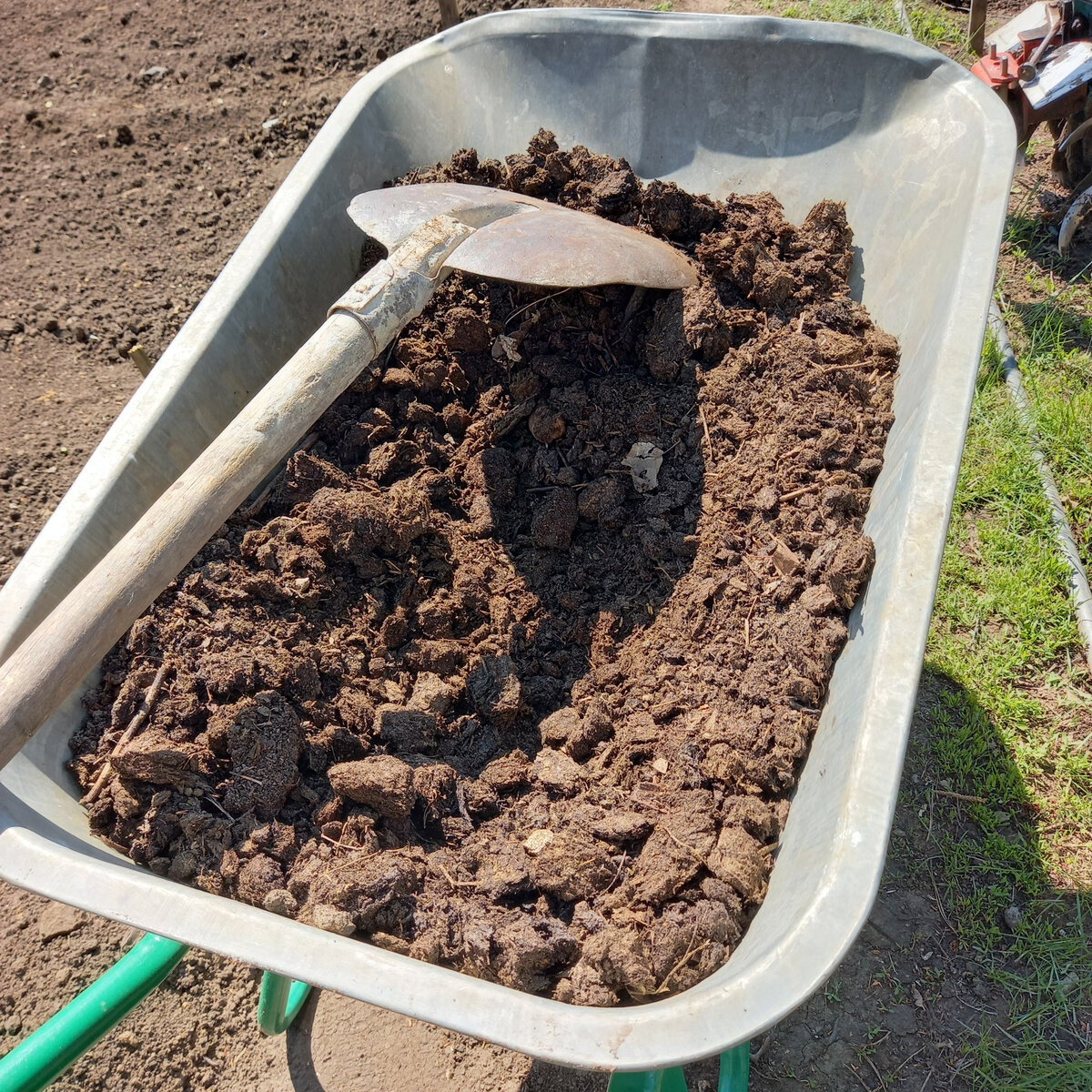 Как не навредить растениям: главные запреты на смешивание удобрений