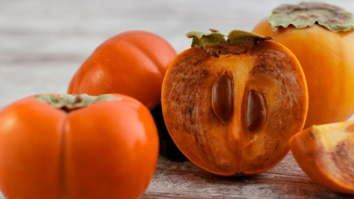 Хурма: сладкая ягода с глубокими корнями