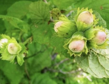 ��� �������� ������ �� ����������: ����������� ������ ������ � �����������