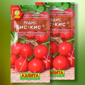 ����� ����-���: ���� �����, ������� �� ������� �����������