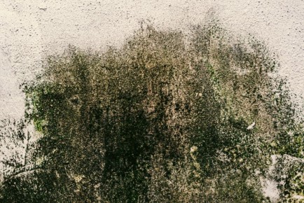 ��� �������� ���������� �� ������� � ����� ����