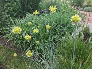 ����� ��� �����: ������� ��������� ����������� � �������� ��������