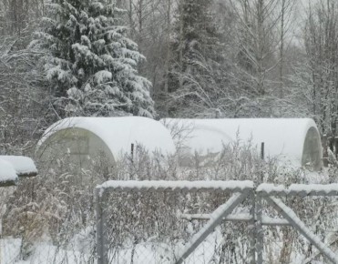 ����� �� ��������� ������� �� ����: ������� ��������