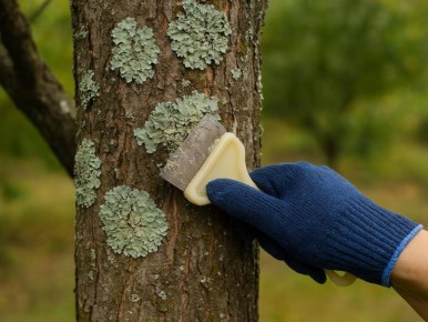 ��� ��������� �������� ����� �������� ��������: ������ ������ � ������������