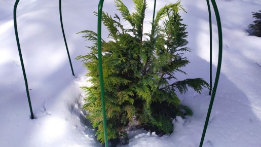 ������� ������: ��� �������� � �������� ��������� ������� � ����������� ������������