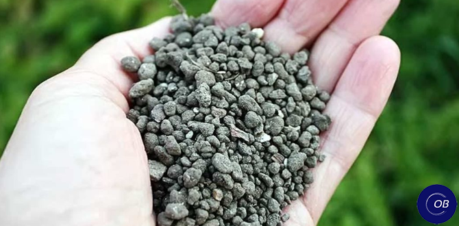 Как сапропель преобразит ваш сад: тайны эффективного удобрения