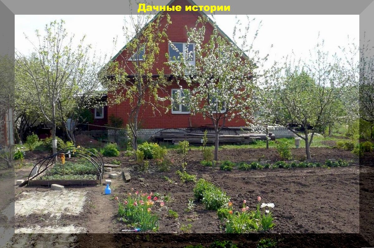 Советы для начинающих дачников: освойте дачные хитрости с нашими ответами