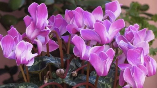 �������� �� �����: ������� ��������� �����������