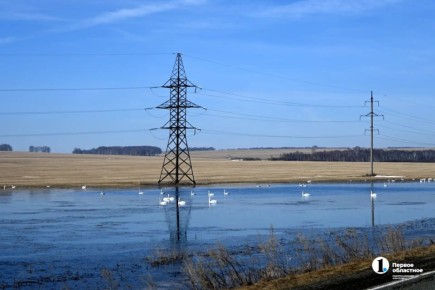 На озера Челябинской области к началу апреля прилетели лебеди