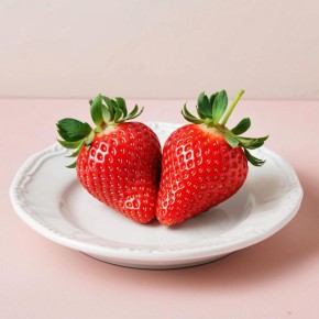 �������� � �������: ������ ���������� �� ��������� ��� ������������� ������