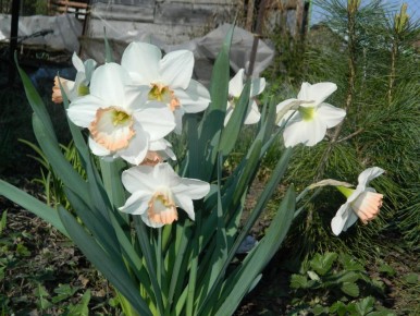 ��� ����������� ������� ������ � ������ ������� ���������: ������ � 15 �� 21 ���