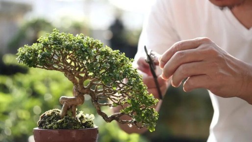 ��� ������� ������: ������ � ������ ��������