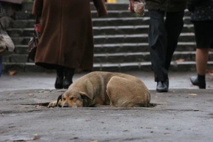 ��������� �� ������ � �����: ������������ �������� �� �������� �������� ��������� ������