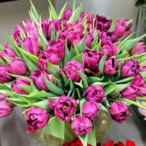 ������ �� �����: ��� �������� ��� ��������� ������