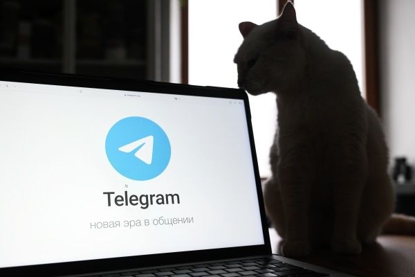 ������� ������������� � ������ ������� � Telegram