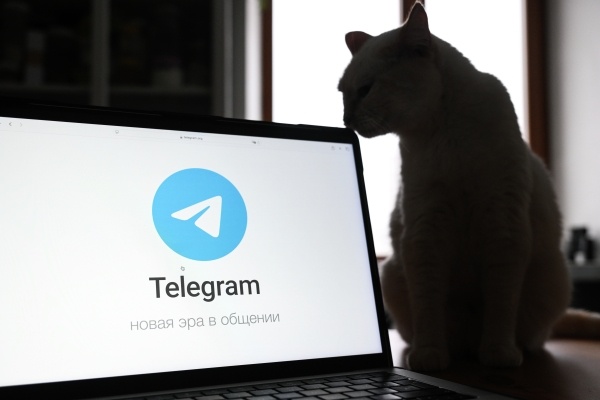 Депутат предупреждает о рисках рекламы в Telegram