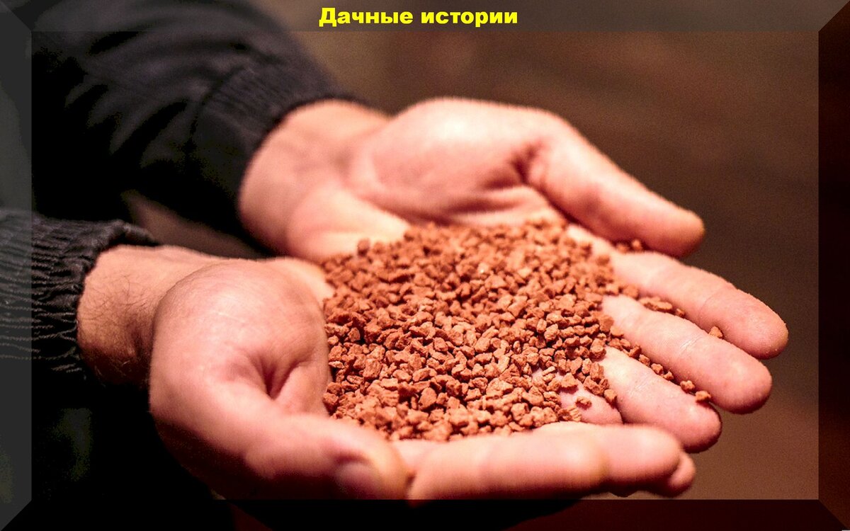 Калийные удобрения: разновидности и секреты их применения для успешного урожая