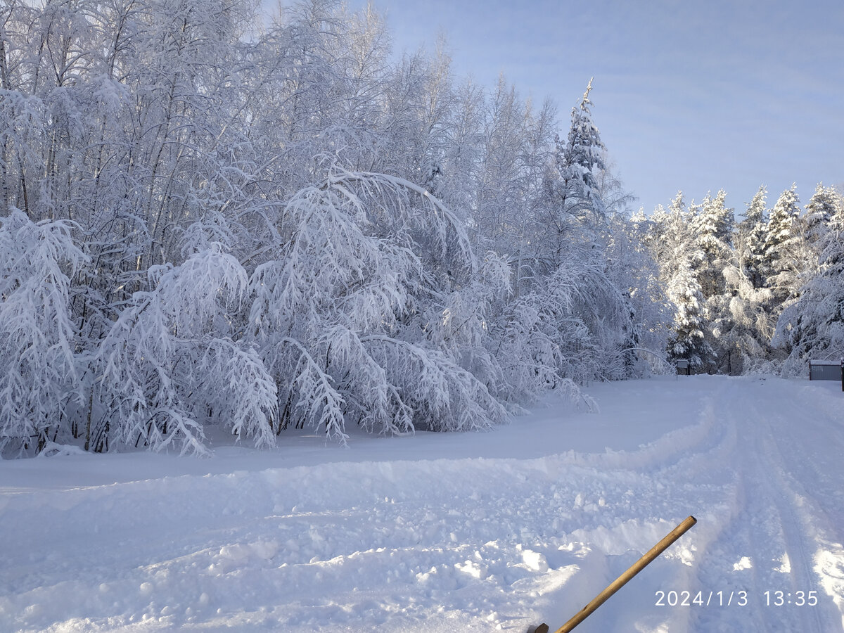 Високосный год: опасные прогнозы и советы для садоводов