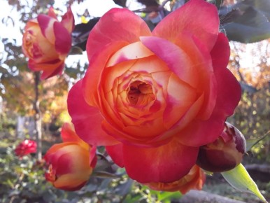 ������� �����: ��� ������ ��������� ������ �����