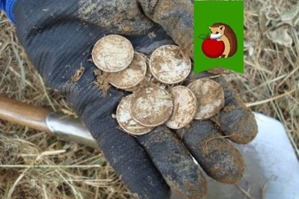 Почему садоводы прячут монеты в грядках: необъяснимая, но полезная традиция