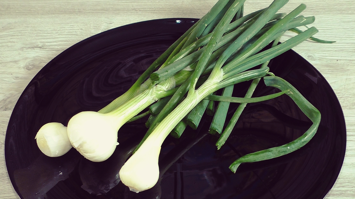 Лепешки из зеленого лука: быстрый и бюджетный рецепт из бабушкиной тетради