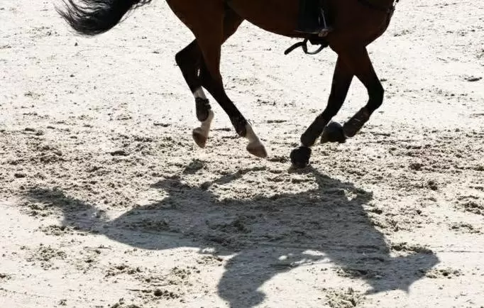 Девять российских всадниц получили нейтральный статус в марте