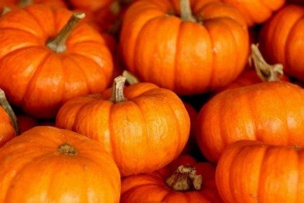 Вкусные тыквенные вафли: идеальный завтрак для всей семьи