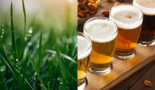 ��� ���� ����� ������ ��� �����: ������� ����� �� ������