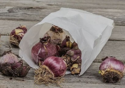 ��� ��������� �������� ��� ���������: ���� ������� �������