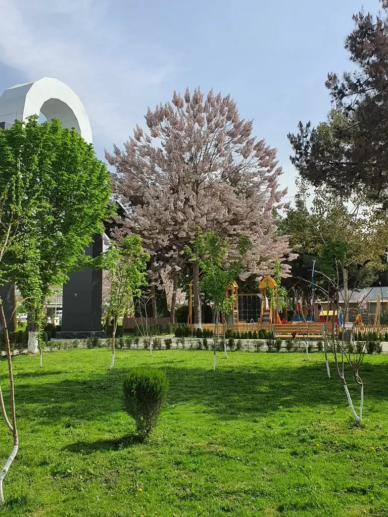 Эко-парки для детей: обучения, которое вдохновляет и развивает