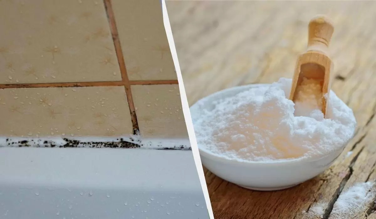 Как быстро и эффективно избавиться от грибка на плитке