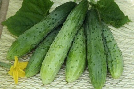 ������ �������: ��� ������� � ��������� ��������� ����� ��� ������ �����