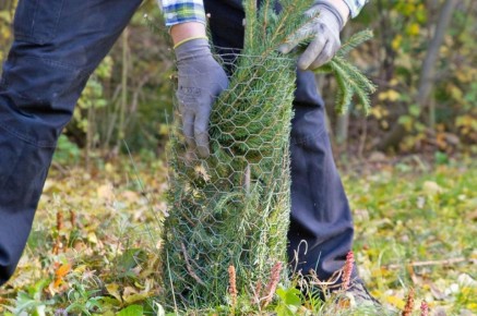 ��� �������� ������� �������� �� ������ �������