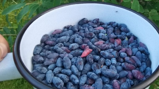 ������ ������� ���������: ��� �������� ��������� ������ �� ������� ���������� ��������