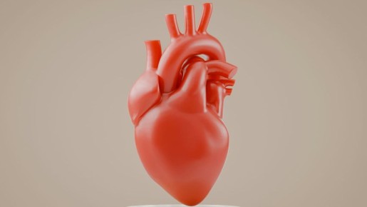 Питай сердце правильно: простые шаги к здоровью