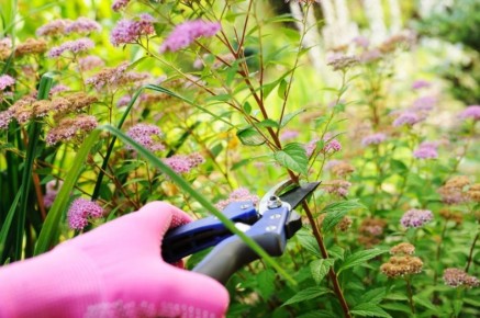 ������ ������� �����������: ������� ���������� ����