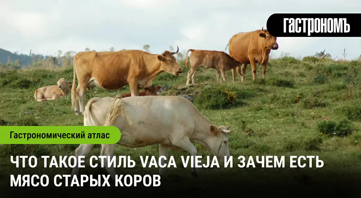 Секреты мяса старых коров: как vaca vieja завоевывает гастрономический мир