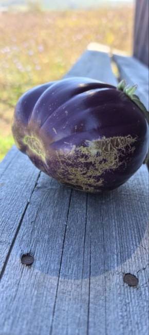 ��������: ������� ����� ������� ����� � ��� ������������ �����������