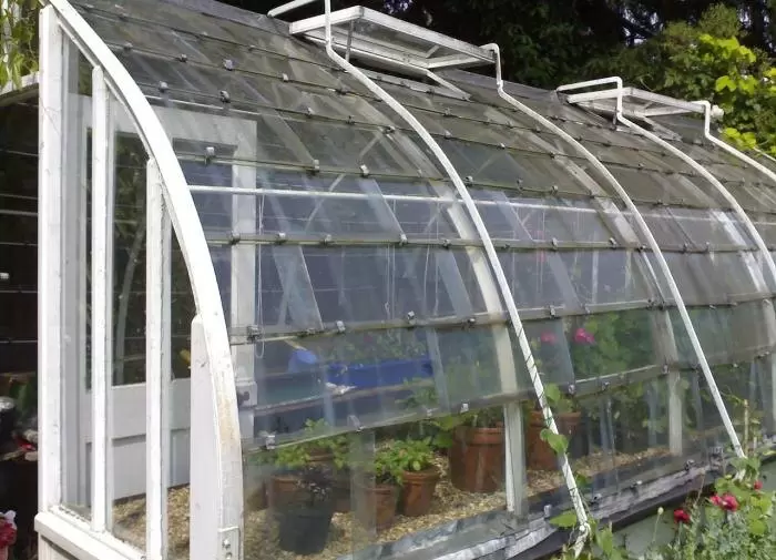 Секреты постройки идеальной теплицы: советы от экспертов